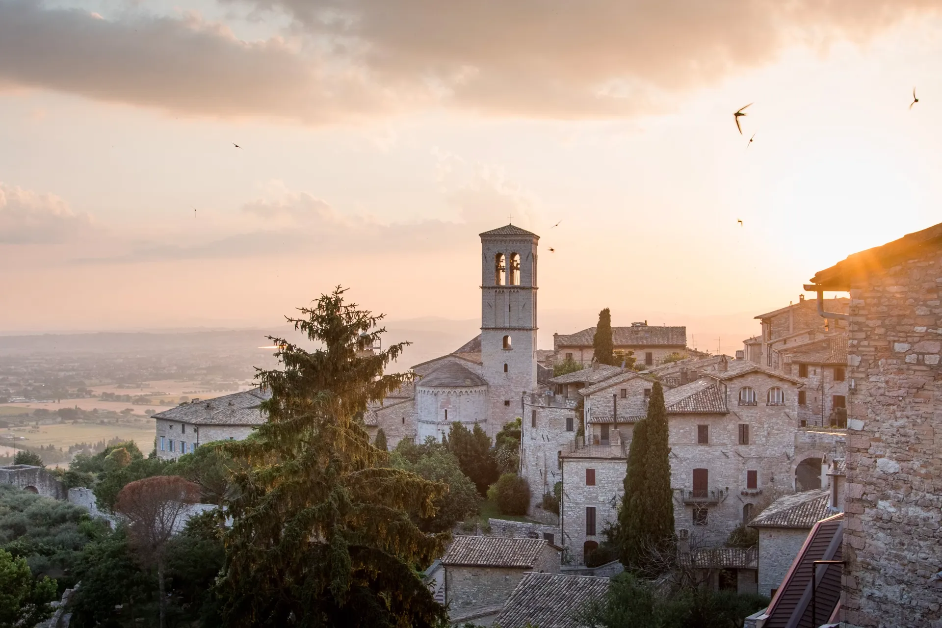 Assisi