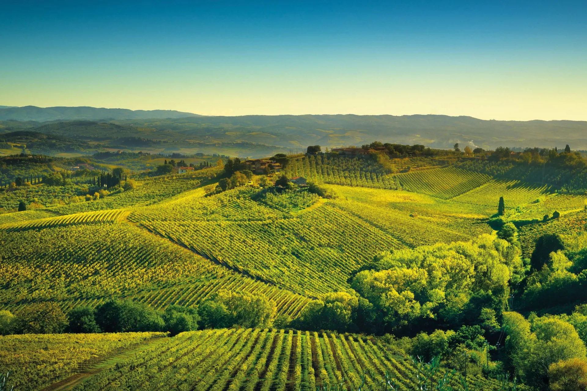 Chianti Hills
