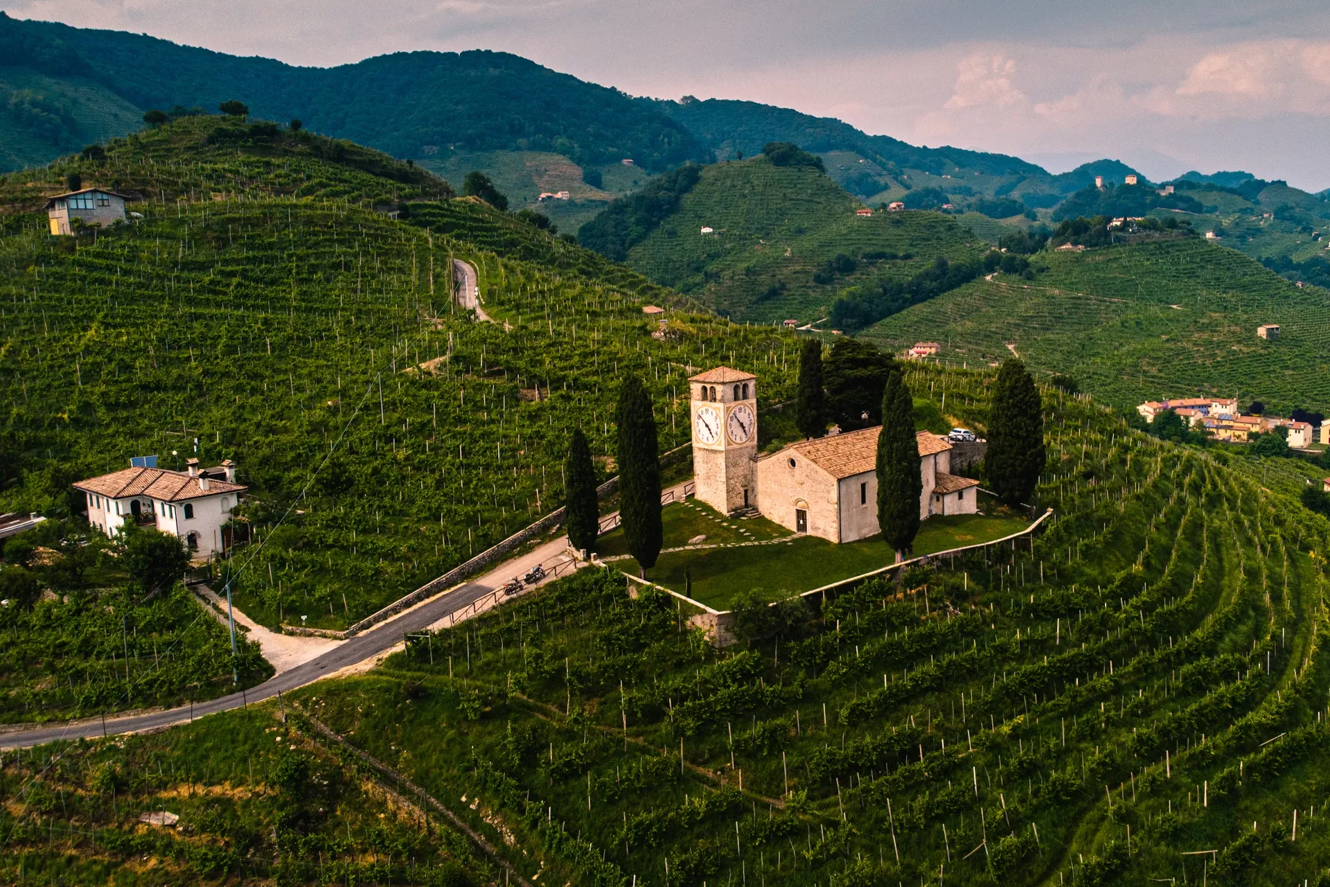 Prosecco Hills
